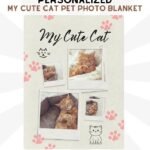 My Cute Cat Blanket