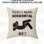 Today's Mood Horizontal Funny Throw Pillow